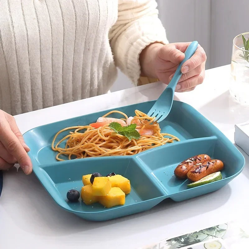 Meal Preparation - New Plate Dish Bariatric Portion Meal