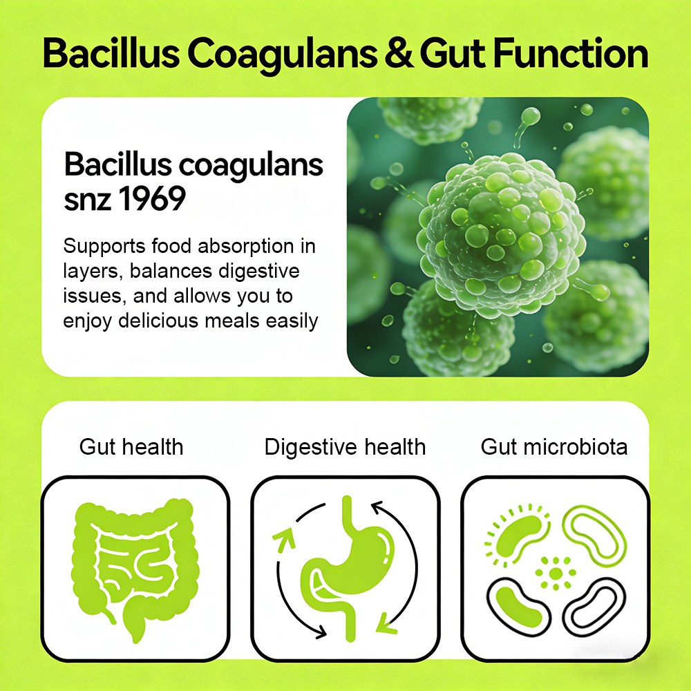 Digestive Enzymes for Bloating - Meal Prep Co 评论和价格