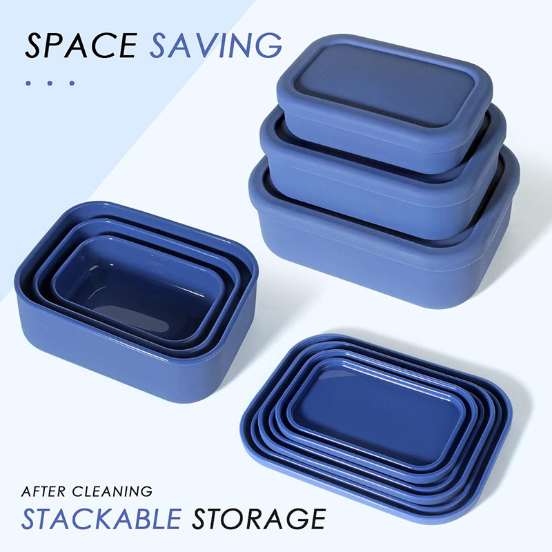 Leak-Resistant Bento Lunch Box - Meal Prep Box 评论和价格