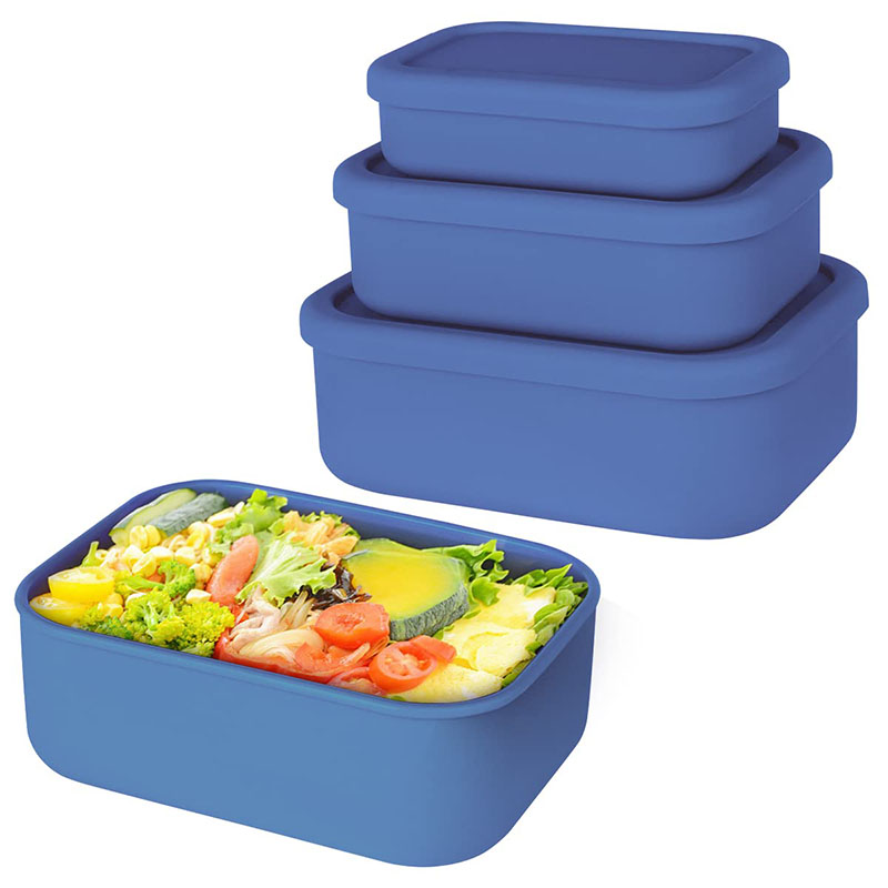 Leak-Resistant Bento Lunch Box - Meal Prep Box 评论和价格