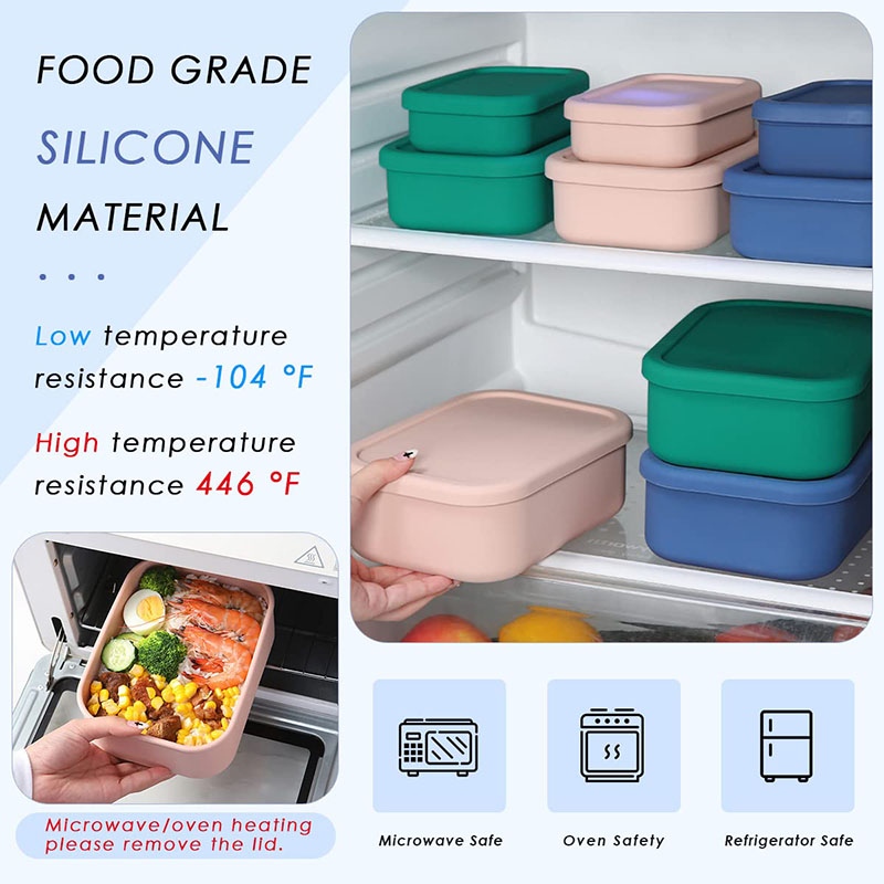 Leak-Resistant Bento Lunch Box - Meal Prep Box 评论和价格
